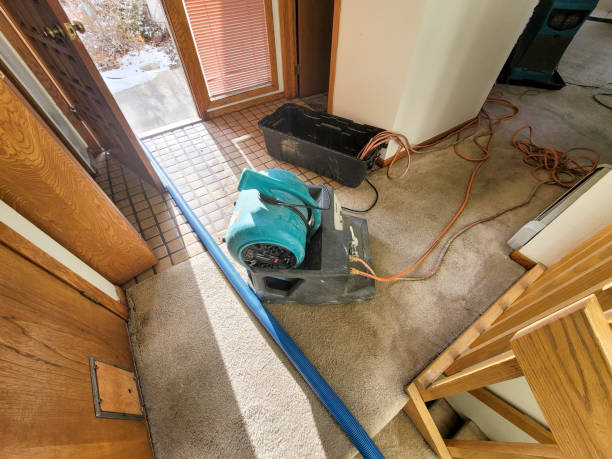 Best Flood damage cleanup  in Pueblo West, CO