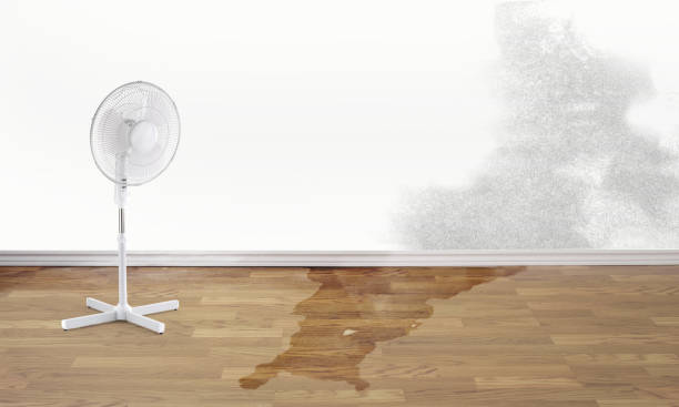 Best Water damage restoration near me  in Pueblo West, CO